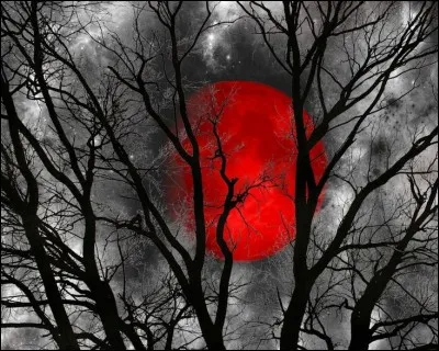 Quels acteurs se partagent l'affiche dans le film "Soleil rouge" ?