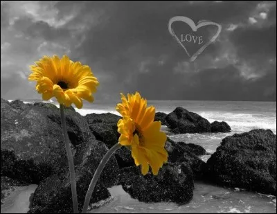 A quel peintre doit-on la série de sept peintures sur les Tournesols ?