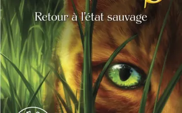 Quiz Erin hunter