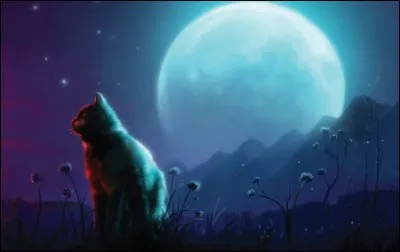 Selon les Anciens, quel clan possède un plateau où "le vent froid qui y souffle leur glace le cur" ?