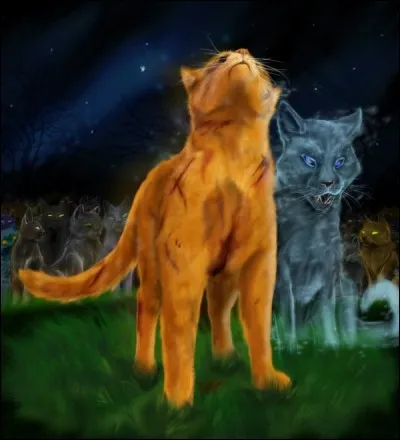 De qui Étoile de Feu, lorsqu'il devient chef, reçoit-il sa seconde vie ?