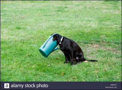 Adjectif : qui veut tout savoir ou qui suscite l'int&eacute;r&ecirc;t !