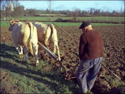 Terrestre ou musical !