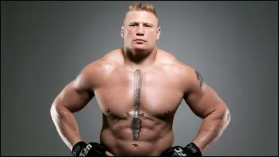 Avec qui Brock Lesnar est-il en couple ?