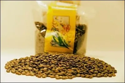 Le 2e envisage de servir une purée onctueuse faite avec les lentilles vertes en accompagnement d'une belle andouille de Jargeau ? D'où viennent ces légumineuses ?