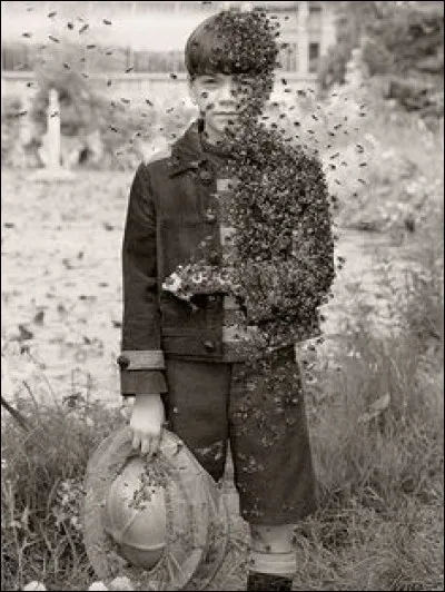 Qui est ce gar&ccedil;on ?