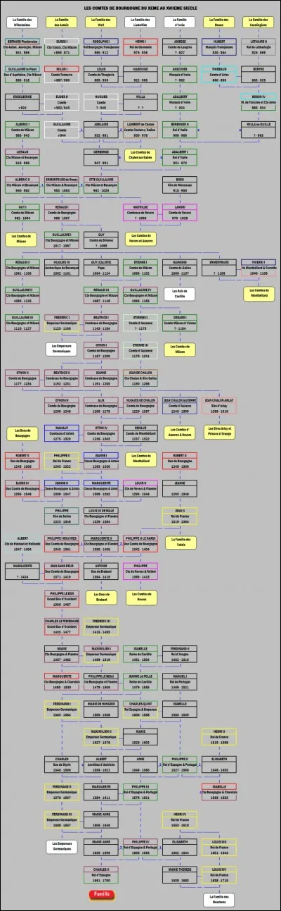 Cette branche cadette des comtes de Bourgogne s'illustra à compter du XIIIe siècle ; quel est son nom ?