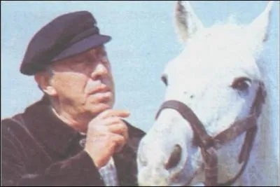 Antonin est un ouvrier de ferme dans un petit village de Provence , dsign par son patron pour conduire son cheval de travail , en fin de vie aux arnes d'Arles.