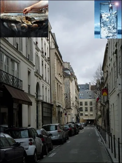 Allons « 2 rue des Trois Pavillons » (actuellement « rue Elzévir ») !
Au XVIIe siècle, le poète François Payot de Linière, un libertin, commit un acte peu acceptable au sein d'une église. Un autre poète dit de lui qu'il n'a jamais fait d'autre acte de piétié !
Que fit ce François Payot de Linière ?