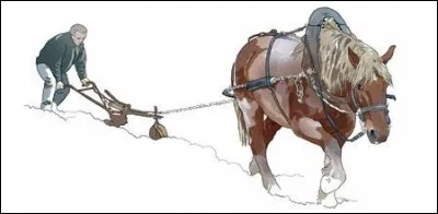 Toute façon donnée à la terre : labour, binage, hersage,etc. Par extension, toute opération agricultrice : semailles, moisson, taille, attache et ébourgeonnage de la vigne, etc.