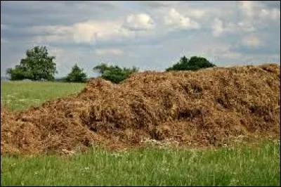 En agriculture, quantité de gerbes qu'on mettait en une fois sur l'aire de battage.