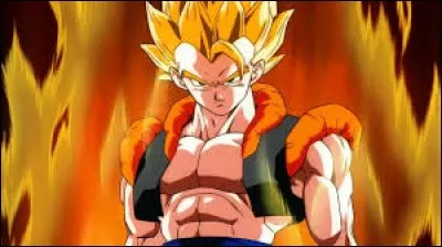 Comment appelle-t-on la fusion de Gokussj et Vegetassj avec la danse ?