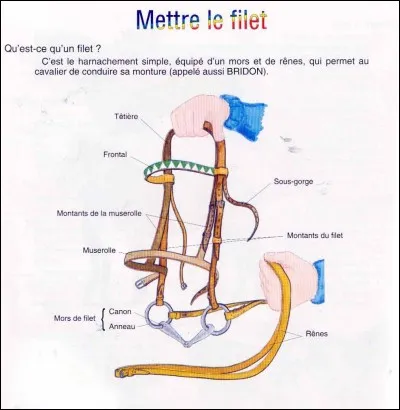 Comment appelle-t-on la partie du filet qu'on met dans la bouche ?
