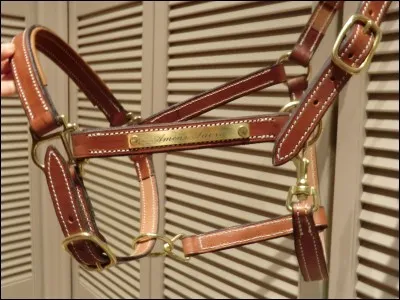 Comment appelle-t-on la partie qu'on met sous la gorge ?