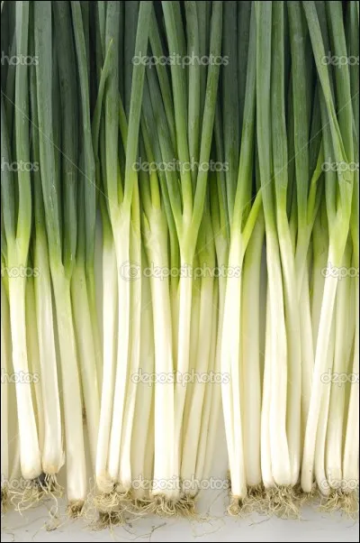 Qu'appelle-t-on une sauce blanche au Congo RDC ?