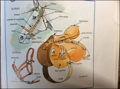 Qu'est-ce que monter à cru ?