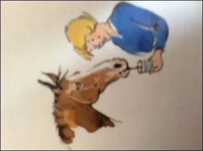 Qu'y a-t-il entre les pattes du poney ?