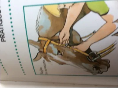 Comment mettre le filet ?