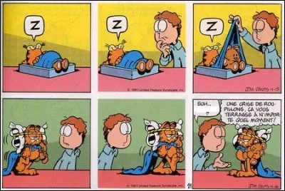 Comment se nomme le célèbre chat encore plus paresseux qu'un paresseux ?