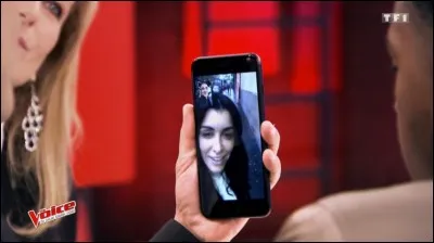 Qui sont les deux talents que Matt Pokora a réussi à avoir dans son équipe ?