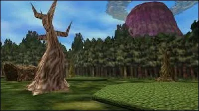 Comment s'appelle la terre sur laquelle on joue ?
(par exemple dans Zelda OOT : Hyrule)