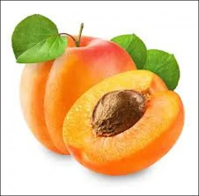 Lors de quelle saison les abricots poussent-ils ?