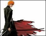 Ichigo vient d'un manga, mais lequel ?