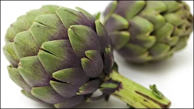 Associez le mot qui vous paraît convenir !