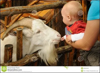 Ménagez-les et vous trouverez !