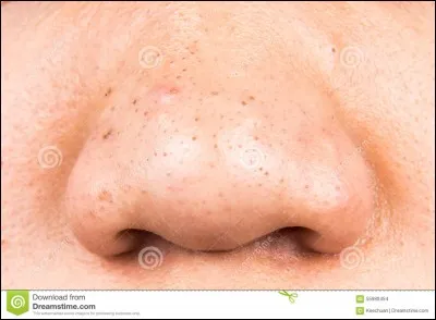 Va t-elle vous monter ...