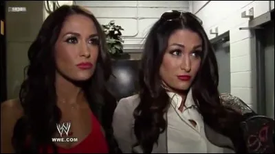 Lors de leur querelle, avec quel(s) catcheur(s) était alliée Brie ?