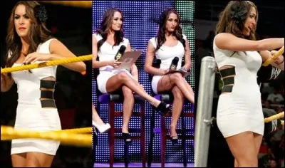 Contre qui Brie Bella a-t-elle gagné (Championship) ?