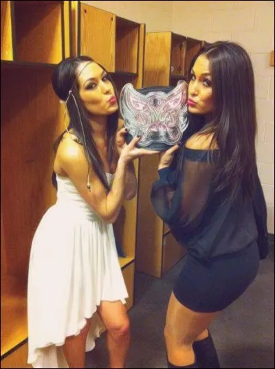 Quels sont leur taille et leur poids ?