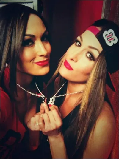 Combien de fois Nikki a-t-elle été championne des Divas ?