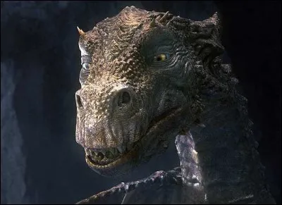 Qui est ce dragon ?