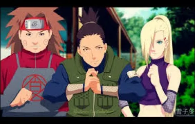 Comment s'appelle le trio de Shikaku, Inoichi et Choza ?