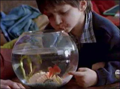 Chevalier prospère avec sa pomme.