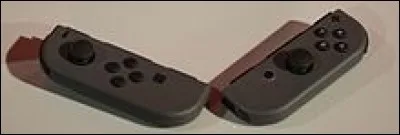 Comment se nomment les manettes aux extrémités de la console Nintendo Switch ?