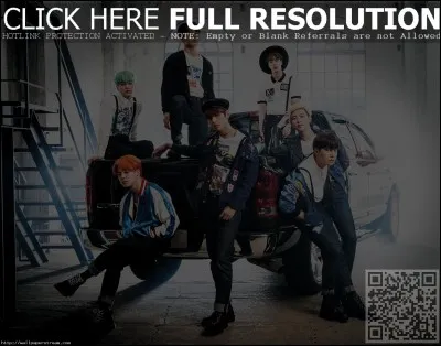 Comment appellent-ils leurs fans ?