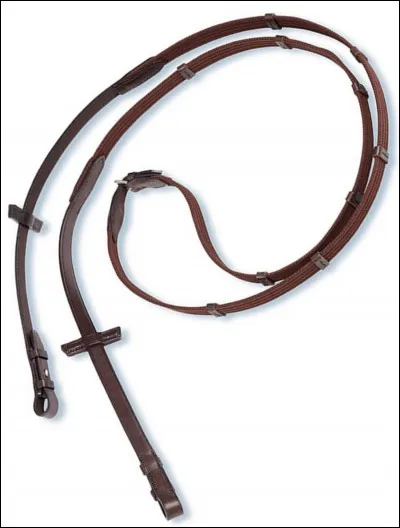 Avec quoi diriges-tu le poney ?