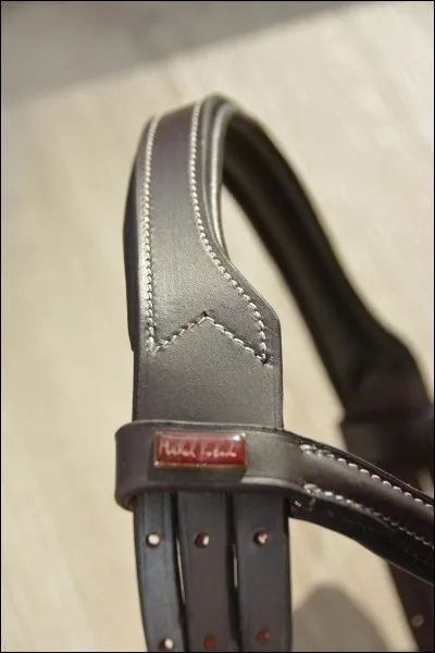 Que trouves-tu derrière les oreilles ?