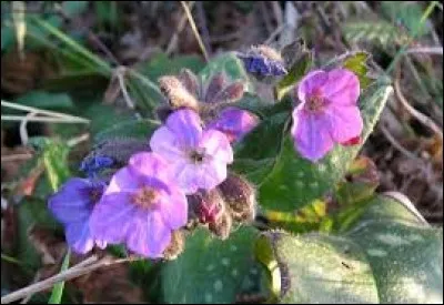 C'est l'action de distribuer un type d'aliment aux bêtes ou bien le lieu de vente de ce même aliment. Quelle est la bonne paire ?