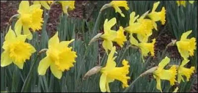 Quelle entrée froide rime forcément avec cuisine ?