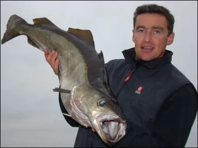 Poisson ou géographique !