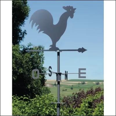 Dans le vent ou versatile !