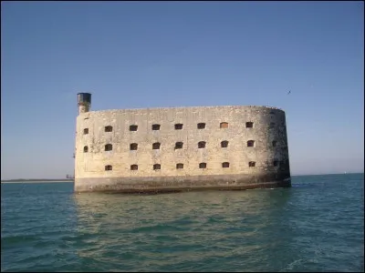 Sur France 2, le soir, il y a "Fort..."