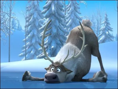 Comment s'appelle le renne ?