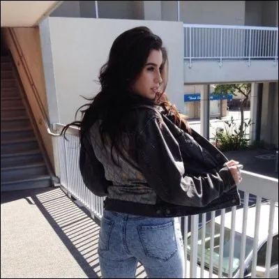 Qui a avoué sa bisexualité ?