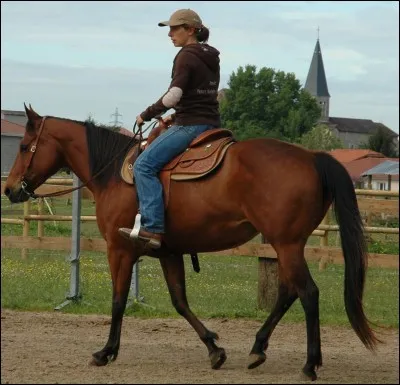 Combien de temps a le pas ?