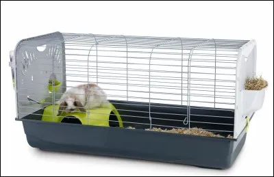 Quel cage est de la bonne longueur ?